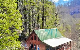 Wilderness Lodge Sevierville Tennessee